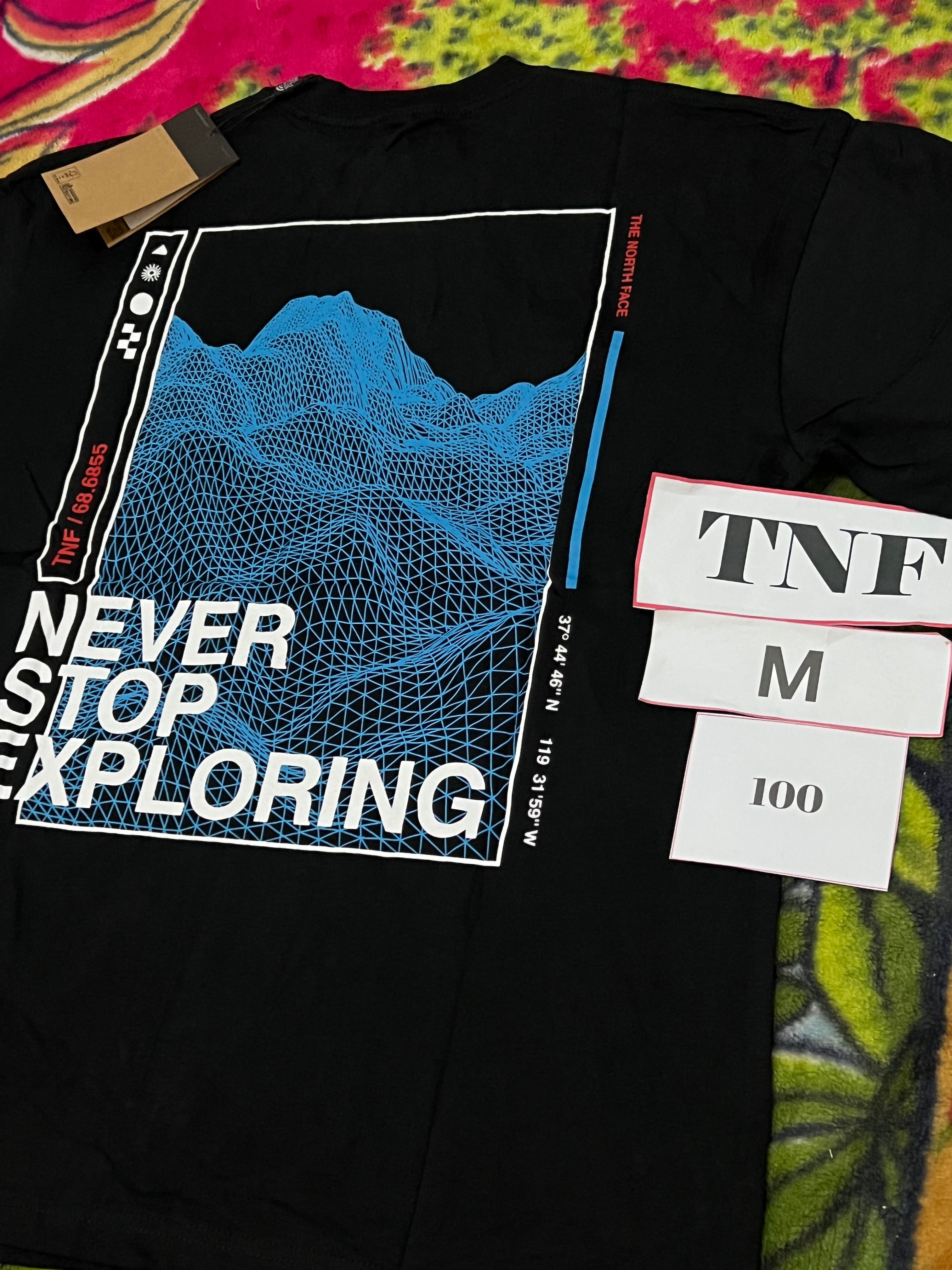 THE NORTH FACE 100