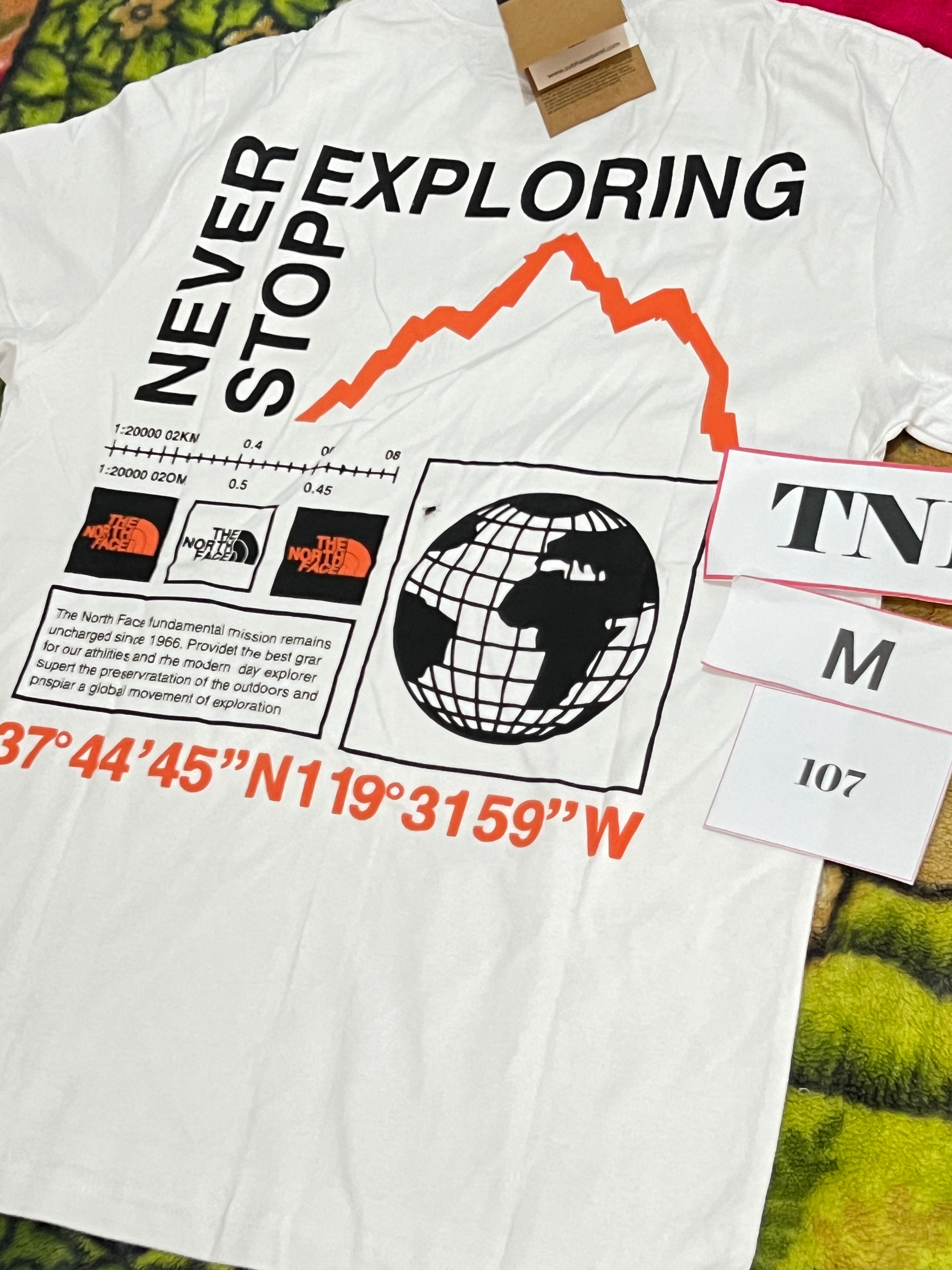 THE NORTH FACE 107
