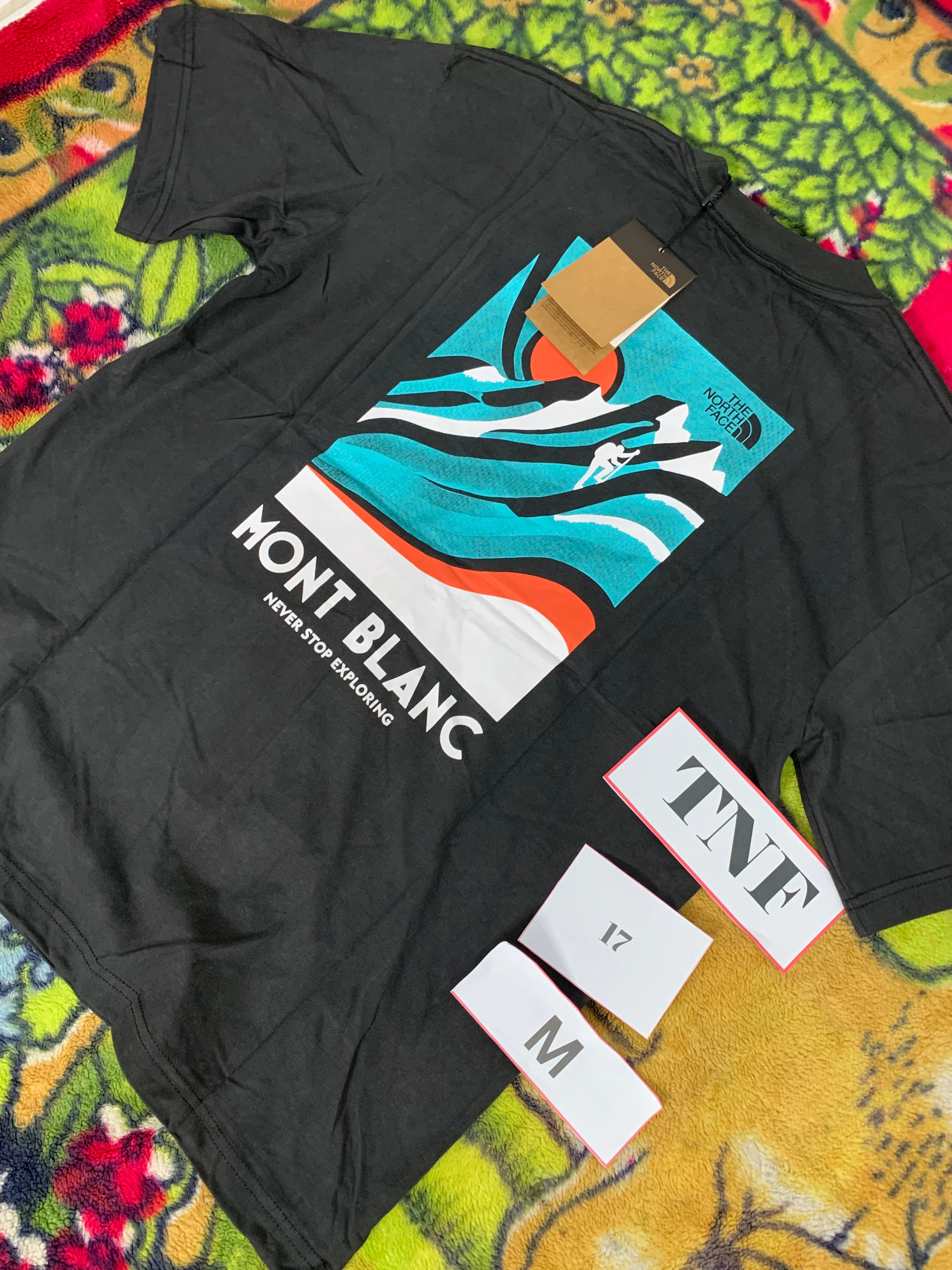 THE NORTH FACE 17