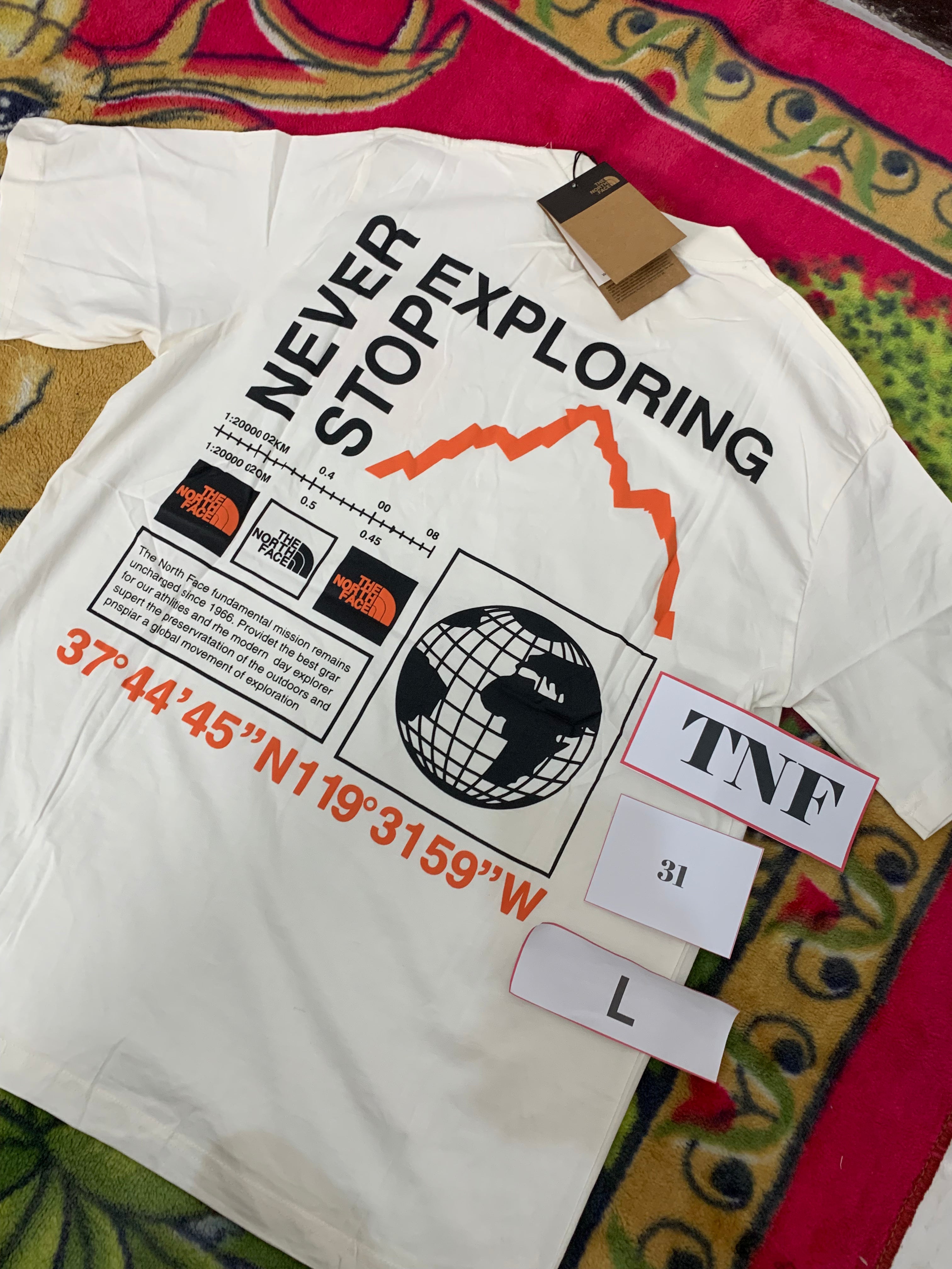 THE NORTH FACE 31